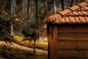 hut in het bos foto