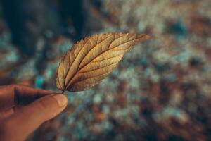 herfst seizoen concept foto