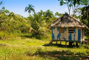 Peru, Peruaanse amazonas landschap. de foto Cadeau typisch Indisch stammen regeling in amazon