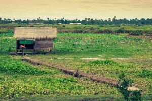 de dorp Aan de water. ton sap meer. Cambodja foto