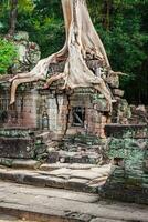 preah khan tempel, Angkor Oppervlakte, siem oogsten, Cambodja foto
