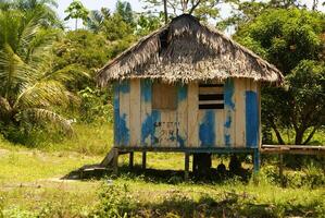 Peru, Peruaanse amazonas landschap. de foto Cadeau typisch Indisch stammen regeling in amazon