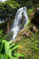 beroemd cascade Bij sao miguel eiland, Azoren, portugal foto