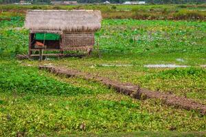 de dorp Aan de water. ton sap meer. Cambodja foto