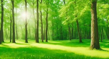 ai gegenereerd natuur hout zonlicht achtergrond. zomer zonnig Woud bomen en groen gras foto