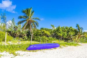 tropisch Mexicaans strand met palmbomen playa del carmen mexico foto