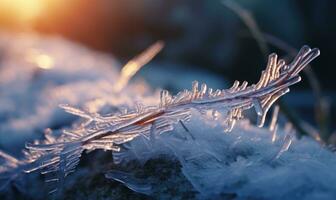 ai gegenereerd berijpt takken Aan een ijzig winter ochtend. mooi winter achtergrond foto