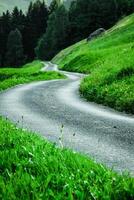 toneel- weg door groen Woud in Zwitserland foto