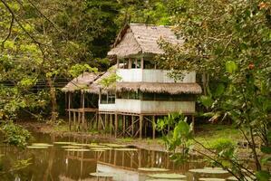 Peru, Peruaanse amazonas landschap. de foto Cadeau typisch Indisch stammen regeling in amazon