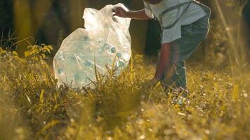 kind meisje verzameling plastic vuilnis in natuur. kind plukken omhoog uitschot in park. foto