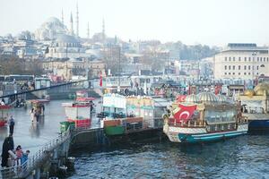 kalkoen Istanbul 16 juli 2023. historisch boten dat verkopen vis in Istanbul foto
