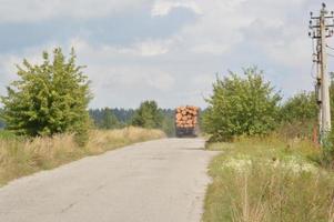 de vrachtwagen vervoert de stammen van het rondhout naar de zagerij foto