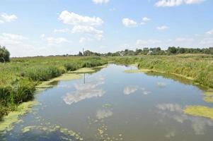 een kleine rivier stroomt overwoekerd met riet en geblokkeerd door een dam foto