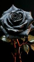 ai gegenereerd een boeiend zwart roos, een symfonie van duisternis en delicaat verleiden verticaal mobiel behang foto