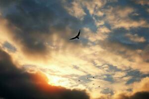 ai gegenereerd vlucht van vrijheid vogelstand silhouet tegen een canvas van wolken foto