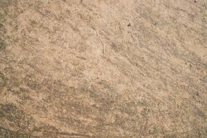 koe mest bruin gips van bodem abstract structuur achtergrond platteland van Bangladesh foto