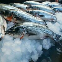 ai gegenereerd vers vis markt tafereel zoet water Zalm gedekt met ijs voor sociaal media post grootte foto