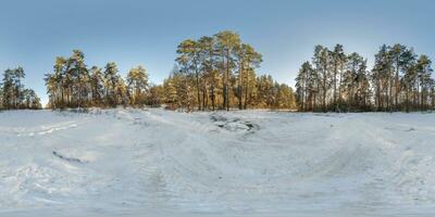 winter vol bolvormig hdri 360 panorama visie weg in besneeuwd Woud met blauw avond lucht in equirectangular projectie. vr ar inhoud foto