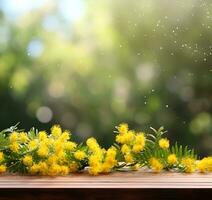 ai gegenereerd mimosa bloem achtergronden met leeg houten tafel. gegenereerd ai foto