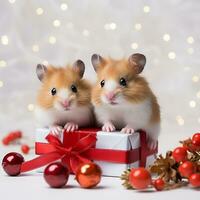 ai gegenereerd twee schattig hamster Aan presenteert doos Aan de achtergrond van Kerstmis decoraties foto