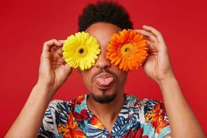 dichtbij omhoog jong Afrikaanse Amerikaans jongen, draagt in hawaiiaans shirt, looks Bij de camera trog bloemen met gelukkig uitdrukking, shows tong, staat over- rood achtergrond. foto