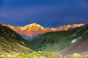 landschap in de bergen. panoramisch visie van de top van Sonmarg, Kasjmir vallei in de himalayan regio. weiden, alpine bomen, wilde bloemen en sneeuw Aan berg in Indië. concept reizen natuur. foto