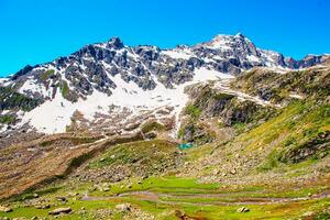 landschap in de bergen. panoramisch visie van de top van Sonmarg, Kasjmir vallei in de himalayan regio. weiden, alpine bomen, wilde bloemen en sneeuw Aan berg in Indië. concept reizen natuur. foto