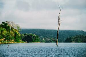 khao sok nationaal park, surat dan ik, landschap bergen met lange staart boot voor reizigers, kauwen lan meer, ratchafafa dam, reizen natuur in Thailand, Azië zomer vakantie reizen reis. foto