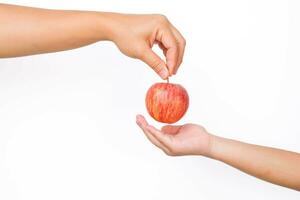 hand- Holding beet rood appel geïsoleerd Aan wit achtergrond. rijp rood appel in menselijk hand. foto
