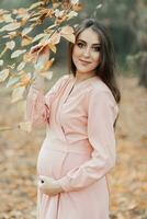 portret van een jong zwanger vrouw tegen een achtergrond van vergeeld herfst bladeren foto