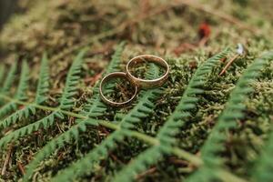 goud klassiek bruiloft ringen Aan een achtergrond van groen varen en groen mos in een Woud of park foto