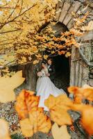 bruid en bruidegom in herfst Woud, bruiloft ceremonie, voorkant visie. bruidegom en bruid Aan de achtergrond van vergeeld herfst bladeren. de foto was genomen door de vergeling bladeren van de bomen