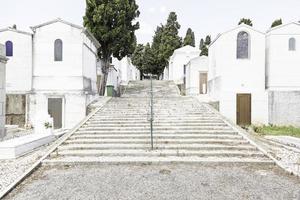 oude begraafplaats in de stad lissabon foto