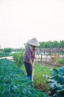 Aziatische boerin die de grond schoffelt foto