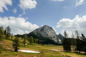 vallei met een hoog rotsachtig berg bomen en groen weide Aan de wurzeralm in Oostenrijk foto