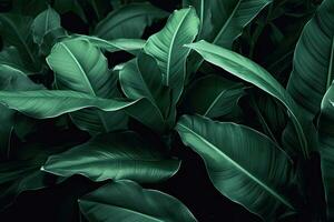 ai gegenereerd groen blad textuur, donker groen gebladerte natuur achtergrond, tropisch blad foto