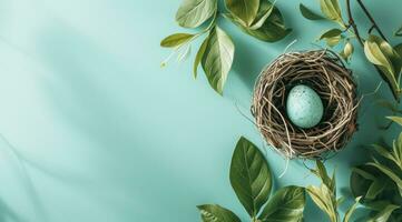 ai gegenereerd een vogel nesten een blauw ei Aan blauw achtergrond foto