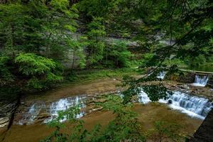 robert h. Treman State Park - lagere fals foto