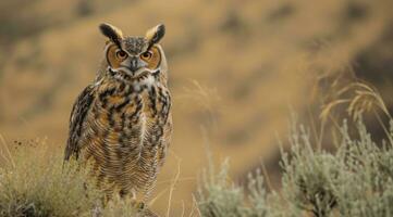 ai gegenereerd gehoornd uil in natuur foto