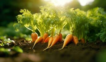 ai gegenereerd een bundel van wortel planten toenemen in een tuin foto