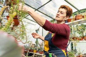 vrouw die haar groene planten onderzoekt foto