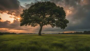 ai gegenereerd een eenzaam boom staat in een veld- onder een dramatisch lucht foto