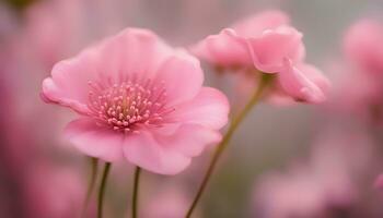 ai gegenereerd roze bloemen zijn getoond in een wazig foto