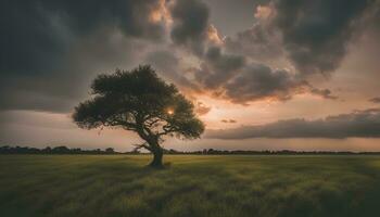 ai gegenereerd een eenzaam boom staat in een veld- onder een stormachtig lucht foto