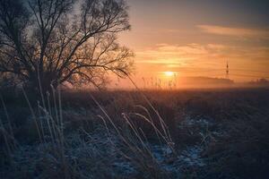 zonsopkomst over- bevroren veld- in noordelijk Duitsland foto