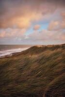 duinen Bij Deens west kust in de avond foto