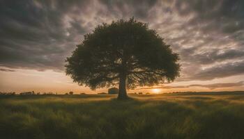 ai gegenereerd een eenzaam boom staat in een veld- gedurende zonsondergang foto