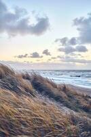 pad door bevroren duinen Bij Deens kust foto