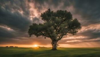 ai gegenereerd een eenzaam boom staat in een veld- onder een dramatisch lucht foto