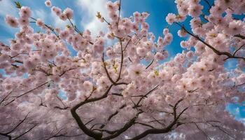 ai gegenereerd kers bloesems in bloeien foto